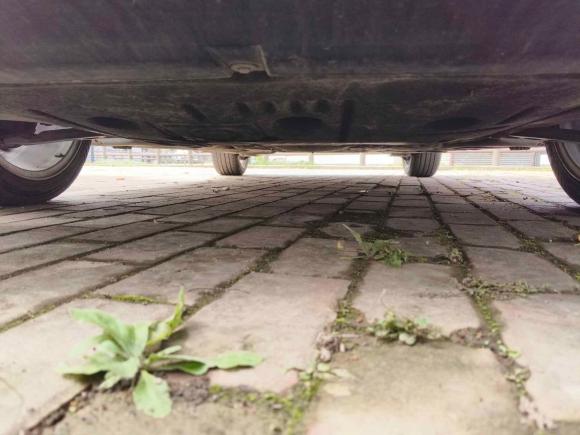 [上海·沪E] 二手MINIMINI2022款 1.5T COOPER 经典派