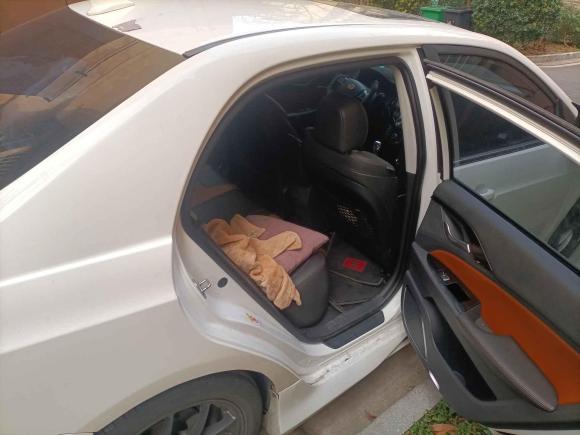 [南京·苏A] 二手比亚迪秦新能源2015款 1.5T 双冠旗舰Plus版