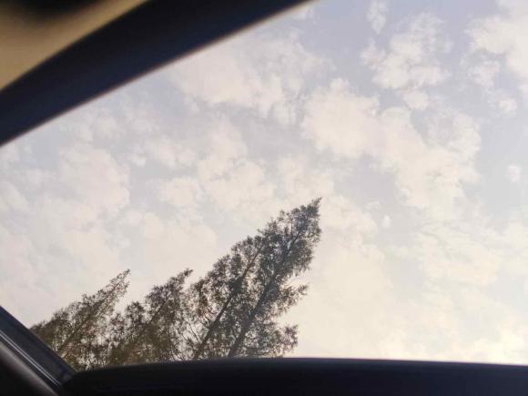 [上海·沪C] 二手广汽传祺传祺M82021款 大师系列 390T 至尊版