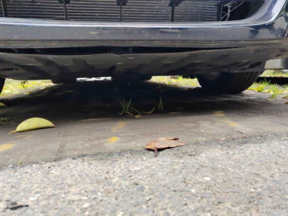 [上海·鄂A] 二手日产天籁2008款 2.0L XL舒适版