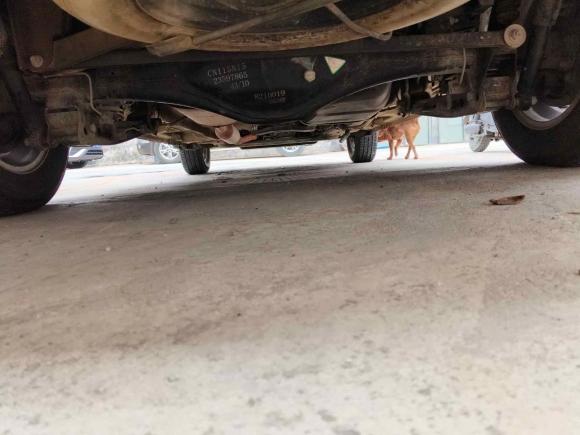 [深圳·粤S] 二手五菱汽车五菱宏光2018款 1.5L S舒适型L2B