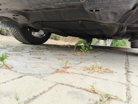 [青岛·鲁U] 二手长安长安UNI-K2021款 2.0T 全轮驱动尊贵型