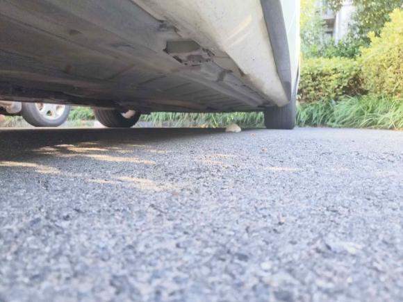 [金华·浙G] 二手奔驰奔驰E级2018款 改款 E 200 L 运动型