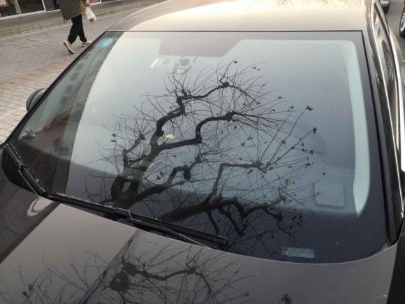 [上海·浙B] 二手斯柯达速派2016款 TSI280 DSG前行版