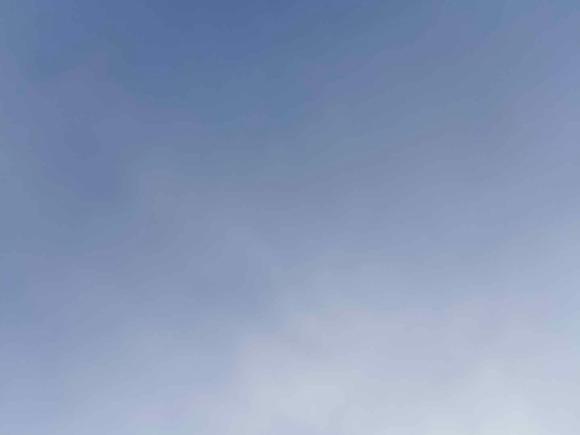 [义乌·浙G] 二手福特福克斯2021款 猎装版 EcoBoost 180 自动猎潮型