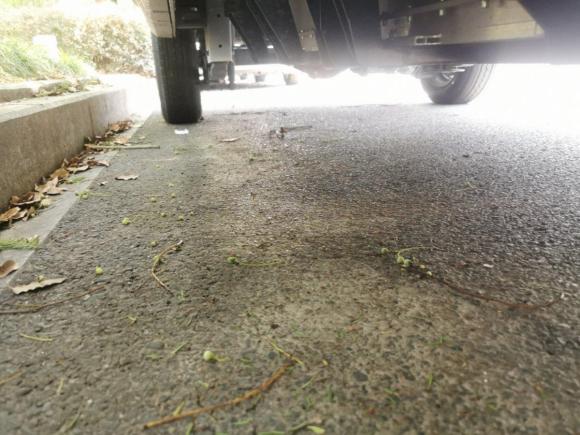 [杭州·浙A] 二手远程汽车远程E52019款 E5L 纯电动厢式运输车国轩39.9kWh