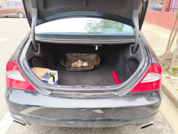 [上海·沪C] 二手奔驰奔驰CLS2009款 CLS 300