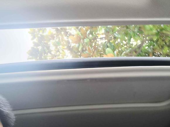 [湖州·浙E] 二手东南东南DX32016款 1.5T CVT尊贵型