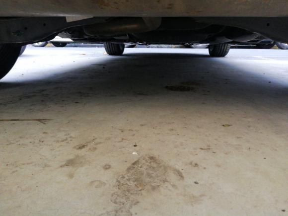 [上海·皖D] 二手大众高尔夫2018款  230TSI 自动豪华型