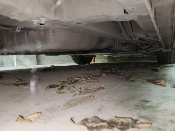 [杭州·浙A] 二手本田艾力绅2016款 2.4L 舒适版