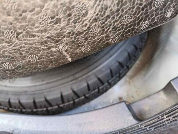 [合肥·皖A] 二手本田飞度2016款 1.5L LX CVT舒适型