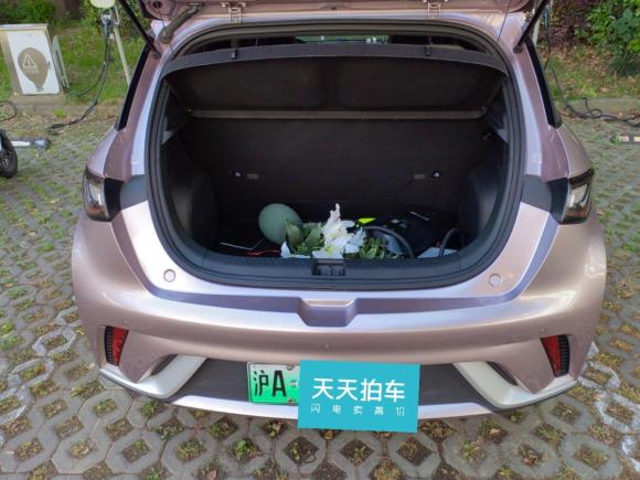 [上海·沪A] 二手比亚迪海豚2021款 405km 时尚版