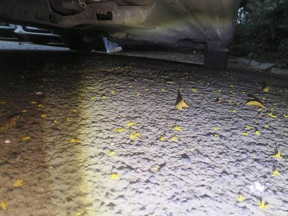 [嘉兴·浙F] 二手斯柯达晶锐2017款 1.4L 自动车享版