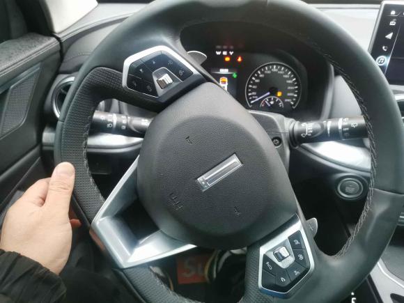 [上海·鲁F] 二手魏牌魏牌 VV52020款 1.5T 两驱颜先锋