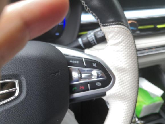 [佛山·粤E] 二手吉利几何EX3 功夫牛2021款 坚强牛牛