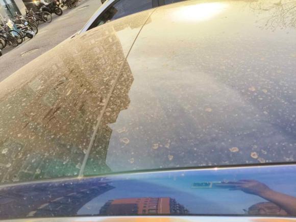 [北京·京A] 二手特斯拉Model 32020款 改款 标准续航后驱升级版