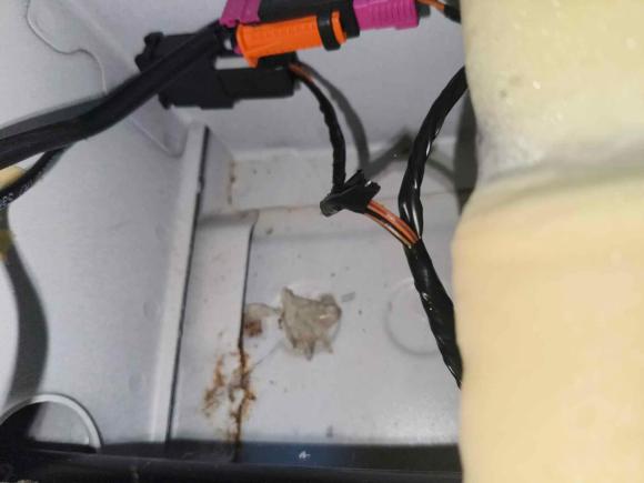 [宁波·浙B] 二手雪佛兰科鲁兹2015款 1.5L 经典 SE AT