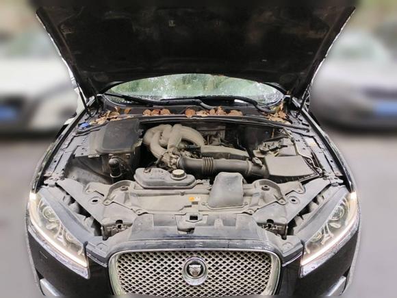 [上海·沪L] 二手捷豹捷豹XF2012款 XF 3.0L V6伦敦限量版