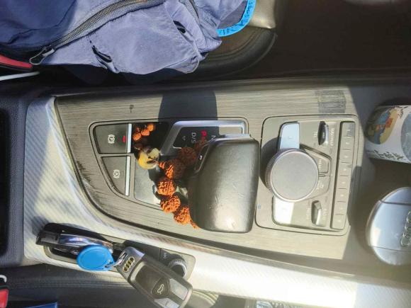 [湖州·浙E] 二手奥迪奥迪A4L2017款 40 TFSI 时尚型