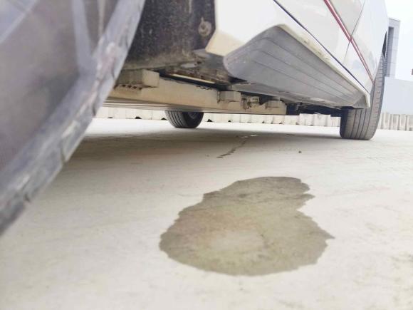 [上海·沪A] 二手比亚迪比亚迪e22019款 高续航版 创·尊贵型