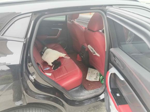 [南京·苏E] 二手魏牌魏牌 VV52017款 2.0T 超豪型