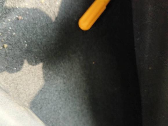 [芜湖·皖B] 二手比亚迪海鸥2023款 自由版