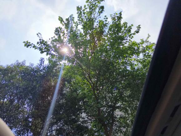 [上海·苏A] 二手大众朗逸2008款 1.6L 自动品雅版