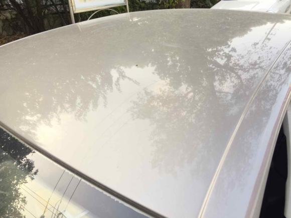 [南京·苏A] 二手斯柯达明锐2013款 1.6L 自动逸杰版