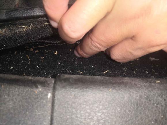 [常州·苏D] 二手福特福克斯2012款 两厢 1.6L 手动舒适型