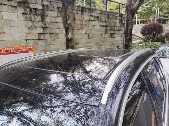 [深圳·粤B] 二手宝马宝马X52020款 xDrive40i M运动套装