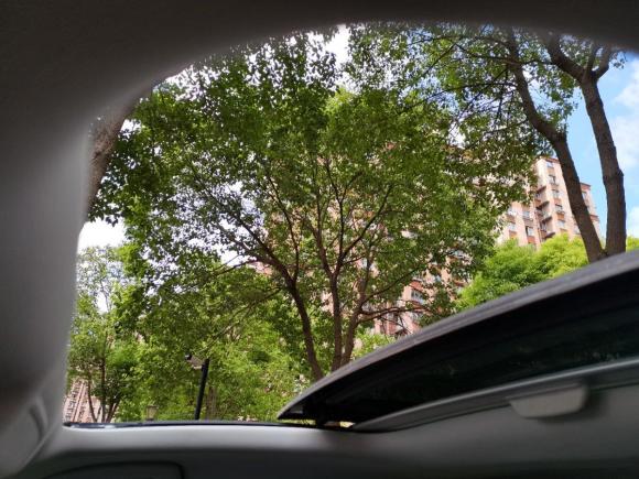 [上海·鲁B] 二手大众凌渡2017款 280TSI DSG舒适版