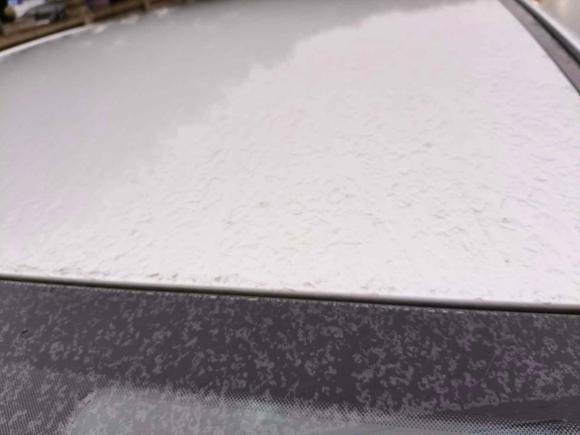 [上海·浙J] 二手雪铁龙世嘉2012款 三厢 1.6L 手动品尚型