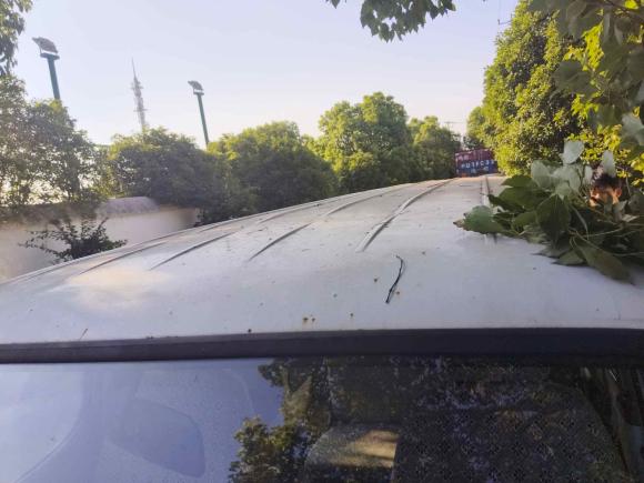 [上海·皖L] 二手金杯金杯海狮2014款 2.0L第五代快运王商务型4G19