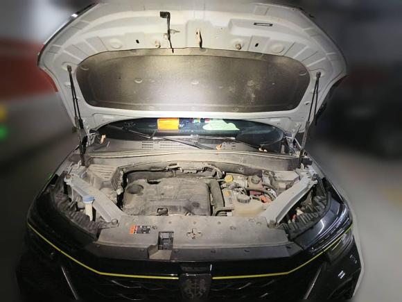 [上海·沪A] 二手荣威荣威RX5新能源2020款 ePLUS 国潮荣麟旗舰版