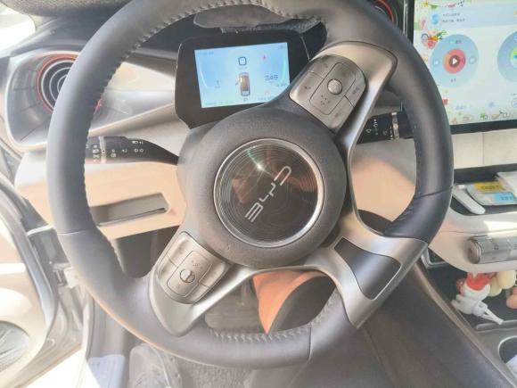 [深圳·粤B] 二手比亚迪海豚2021款 405km 自由版