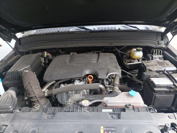 [义乌·浙G] 二手坦克坦克3002021款 越野版 2.0T 征服者