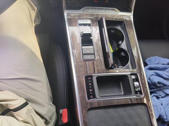 [合肥·皖A] 二手星途星途揽月2021款 400T 两驱星耀Pro版 7座