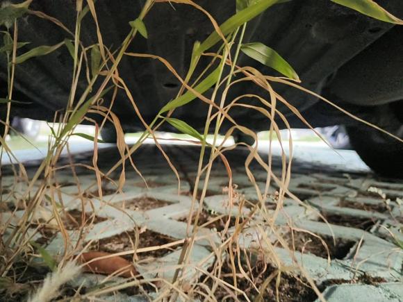 [嘉兴·浙F] 二手本田凌派2019款 180Turbo CVT领先版 国VI