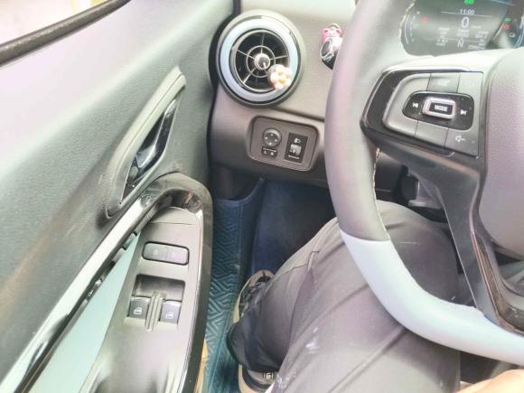 [合肥·皖A] 二手奇瑞新能源小蚂蚁2022款 甜粉款 半糖版 磷酸铁锂 30kW 301km