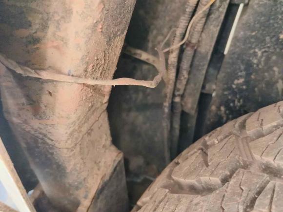 [成都·川A] 二手五十铃mu-X牧游侠2017款 3.0T 四驱手动探索型 5座 国IV