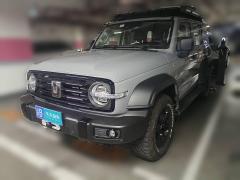 [重庆·渝B] 坦克坦克3002021款 越野版 2.0T 征服者