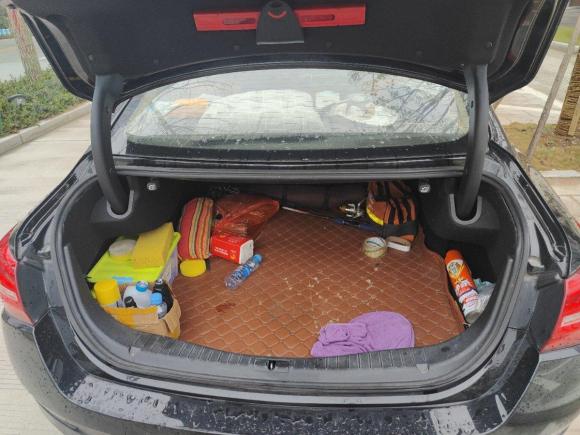 [温州·浙C] 二手红旗红旗H5经典2018款 30TD 型动版