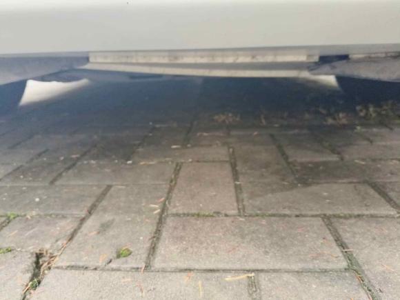 [南京·苏A] 二手本田凌派2015款 1.8L 自动超配限量版