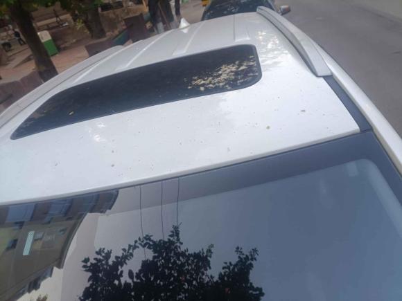 [青岛·鲁B] 二手奇瑞瑞虎52016款 1.5T 手动家悦信赖版