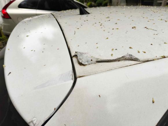 [成都·川A] 二手大众Polo2016款 1.4L 手动风尚型