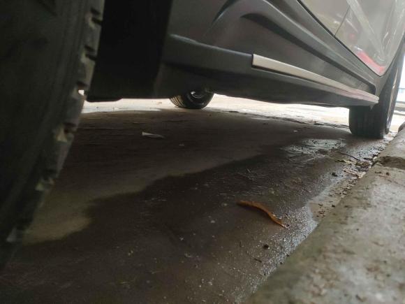 [南京·苏A] 二手起亚智跑2012款 2.0L 手动两驱版GL