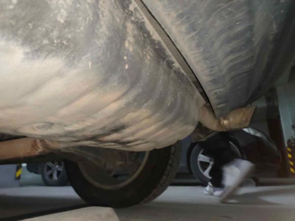 [宁波·浙B] 二手Jeep自由客2014款 2.4L 运动版