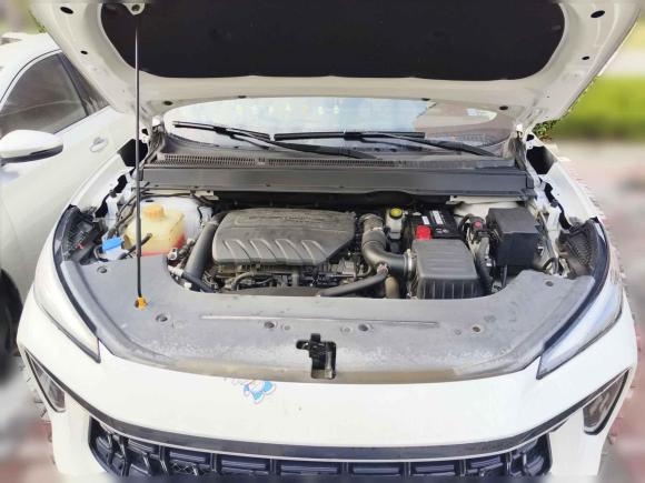 [上海·苏U] 二手东风风行风行T5 EVO2021款 1.5TD DCT铂金版