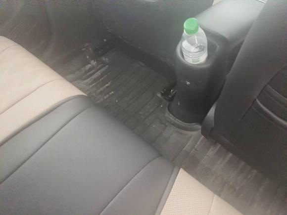 [宁波·浙B] 二手比亚迪海豚2023款 420km 自由版