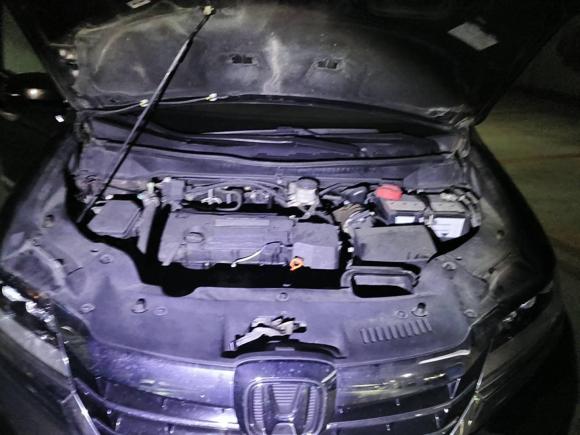 [常州·苏D] 二手本田艾力绅2016款 2.4L 豪华版